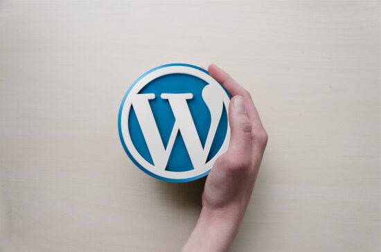 Exploring the Reasons behind WordPress Popularity among Web Agencies
